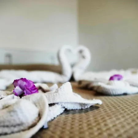 度假居 Trullo Libero 马丁纳弗兰卡